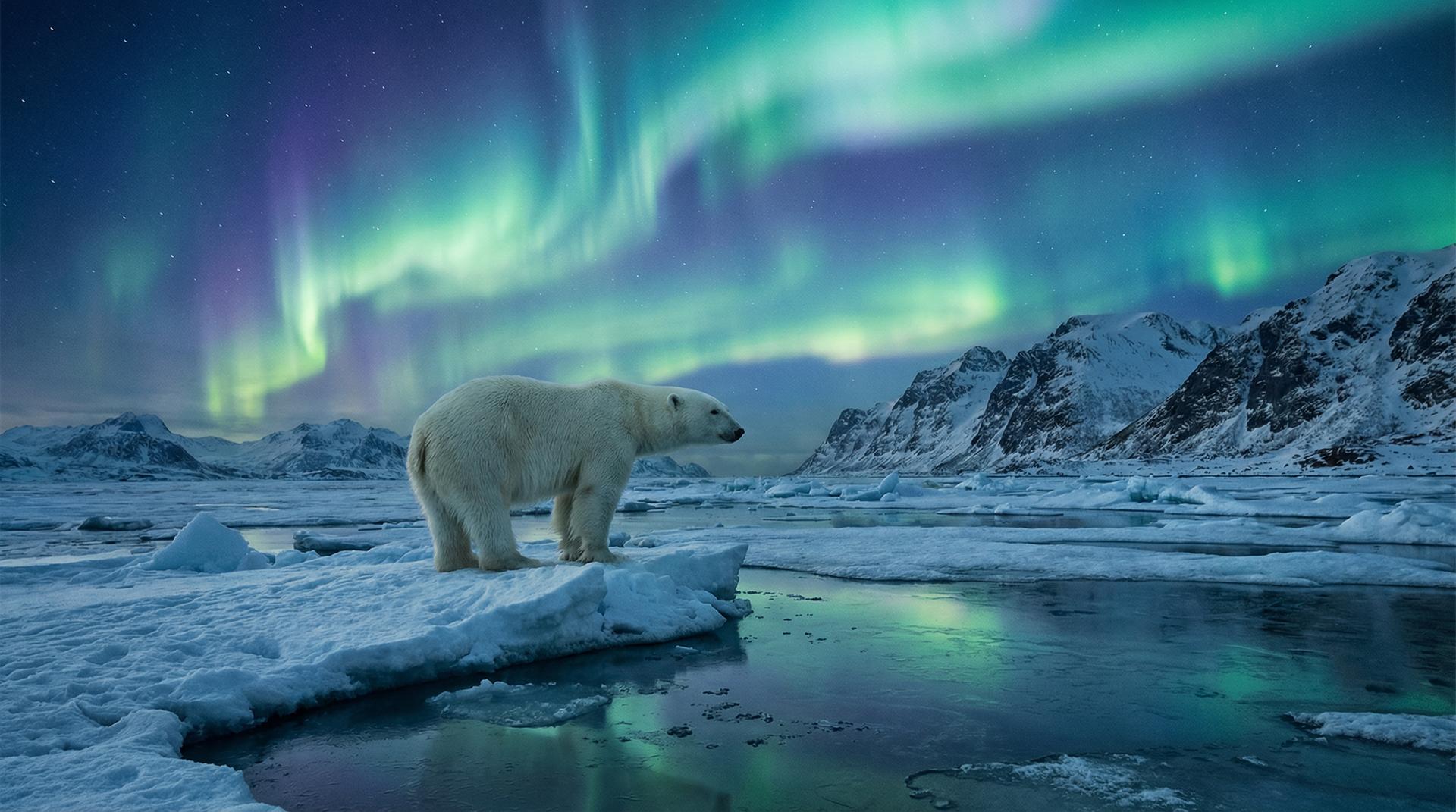 国产自拍杰尼龟视频
